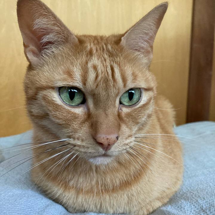 C7c06066 69b4 42d9 96ef 6093ac574046 1664027721244