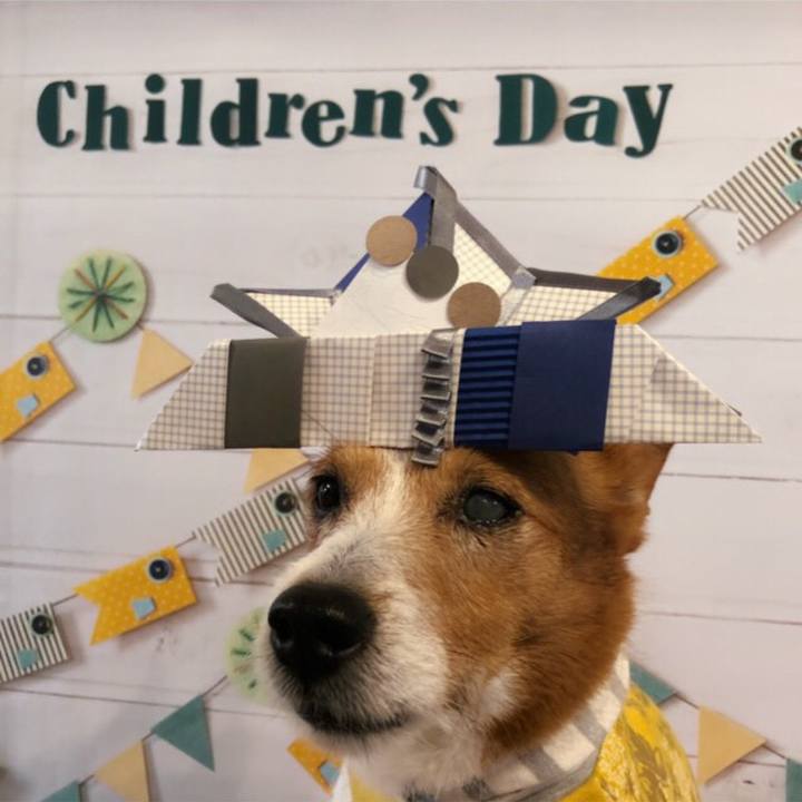 C7c07928 3010 4250 81db 6314cc576b66 1525503313739