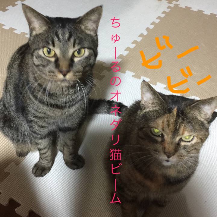 C7c08865 f553 4038 aa94 3c97b74bfdf1 1547517020071