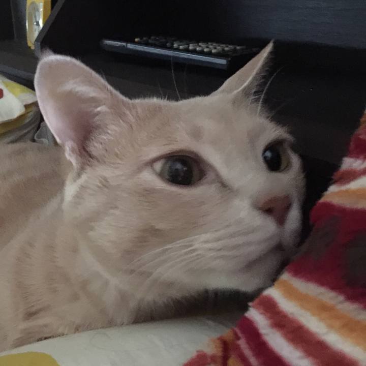 C7c0a591 224e 4cf4 8125 f32cc0ccc785 1526201735981