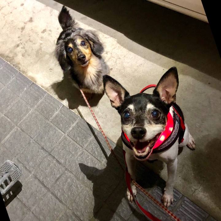 C7c0ad7d fb71 4020 8af9 a36a5ae5398f 1565269247697