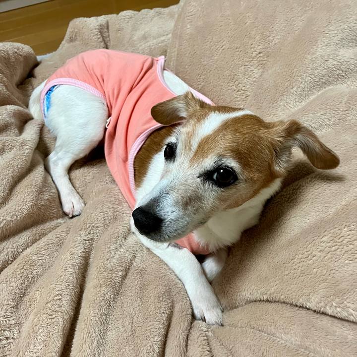 C7c0d116 ade6 41a5 aaf0 3db14ef36c38 1702130445401