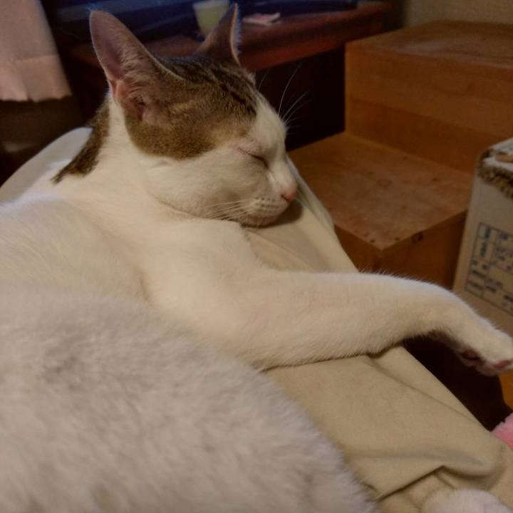 C7c0e0b7 05f0 4dd0 9cad 816040c5dd38 1655985637063