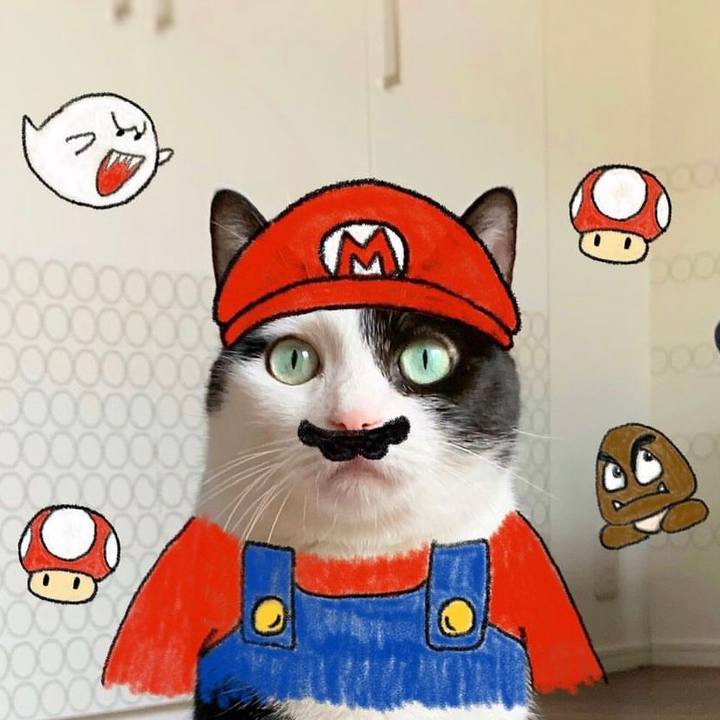 C7c0e816 38dc 4025 b941 5d9398286ab2 1704195995067