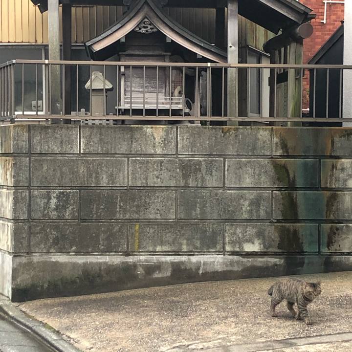 C7c0f437 ae95 4428 ac6a cd626912da74 1589720348127