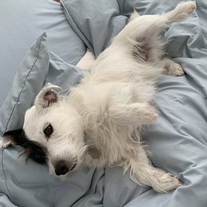 C7c1181b c52a 4cf0 9beb f983ce99c24d 1566864832775