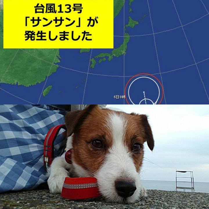 C7c121c5 6c37 45d0 9e11 e5975c386d67 1533293606229