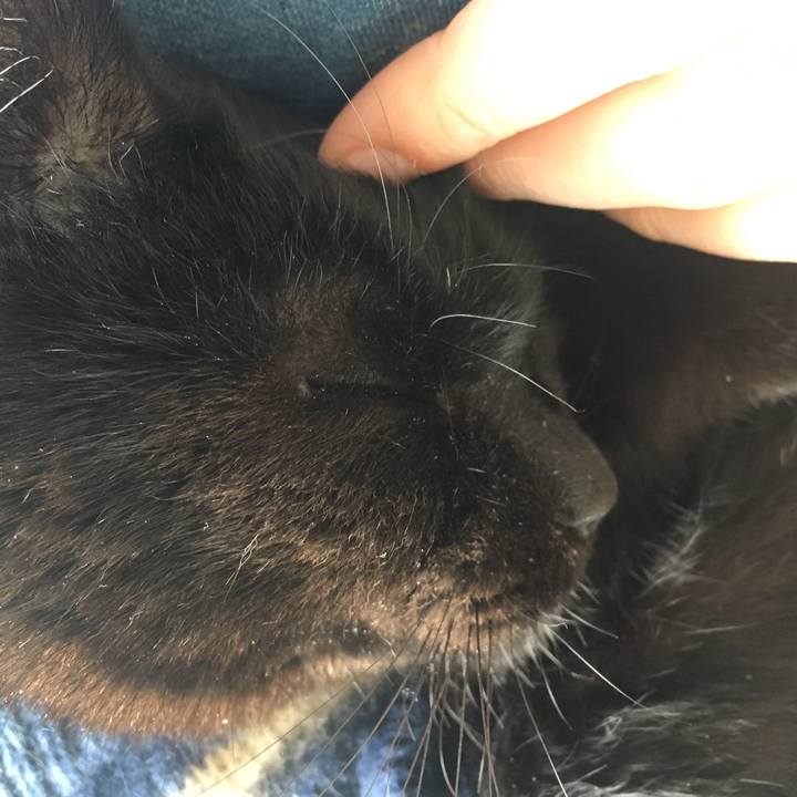 C7c17d75 de9d 4a27 a762 b0a7d4bb7e82 1549675025967