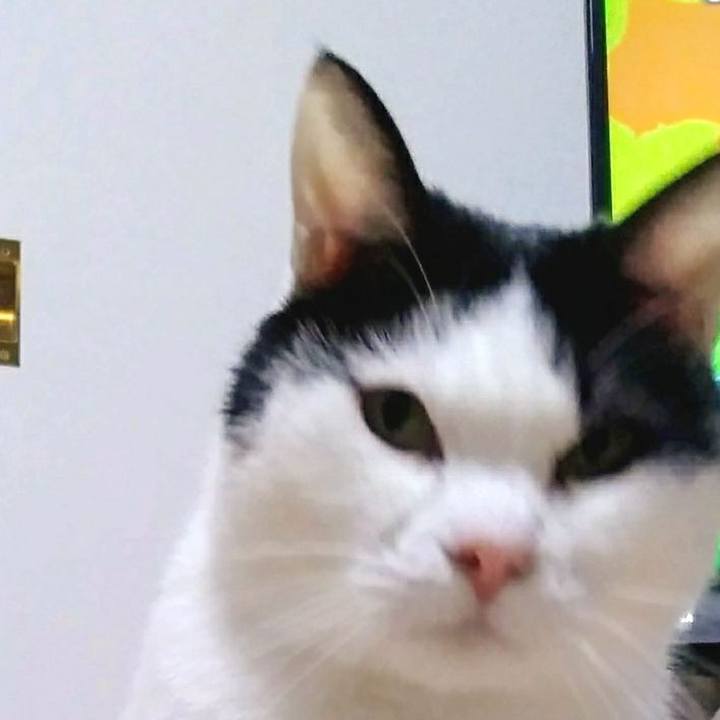 C7c18fa6 34cf 467a 9b21 0498dcaed4a9 1554561734504