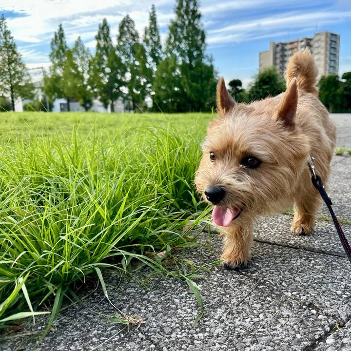 C7c1ce57 29f3 4333 9d1f 00a8eb1a9f65 1752991540728