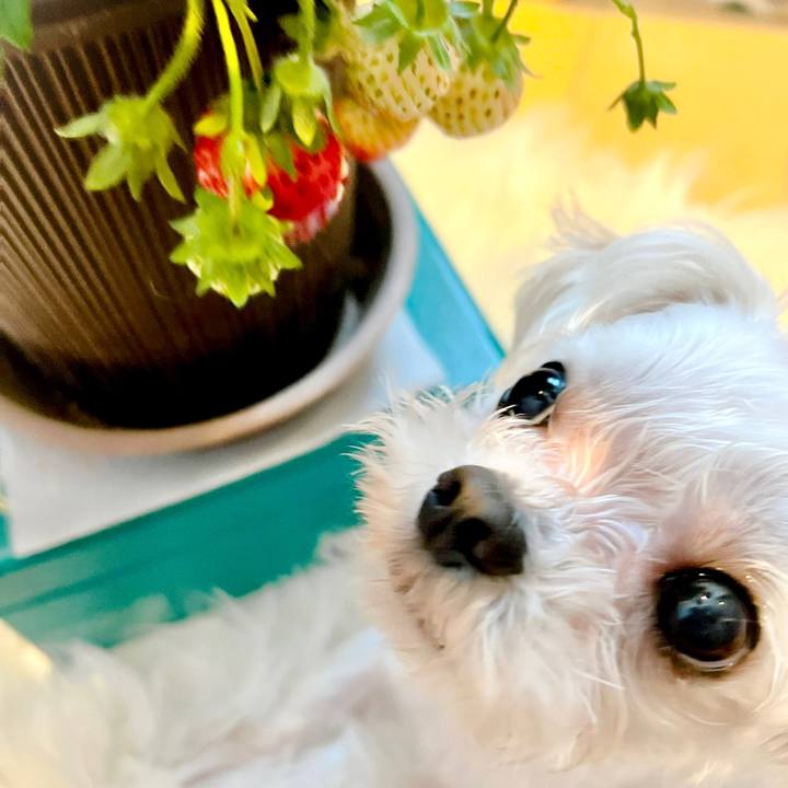 C7c2005e 5161 48f2 9d05 8a7238a76b3c 1682578535698