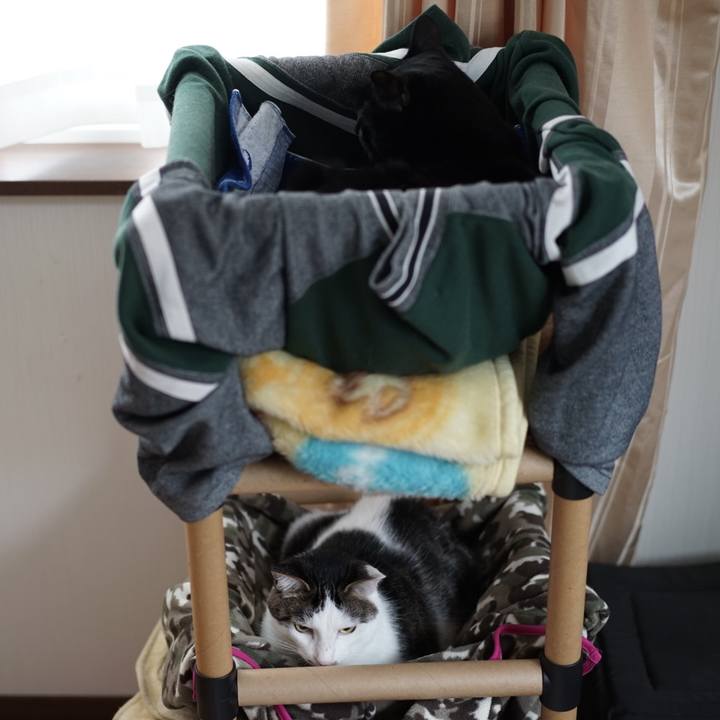 C7c21fa6 4f39 4f24 b47d dfd3a97e8b48 1557703884829