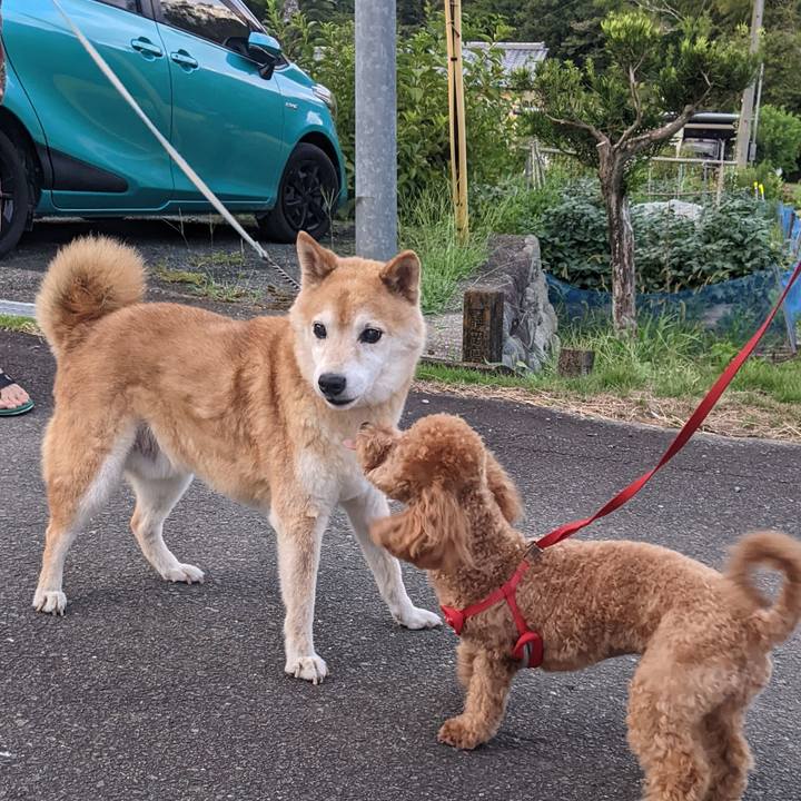 C7c22eb9 309c 4041 a137 7eec9ee713b9 1757579566323