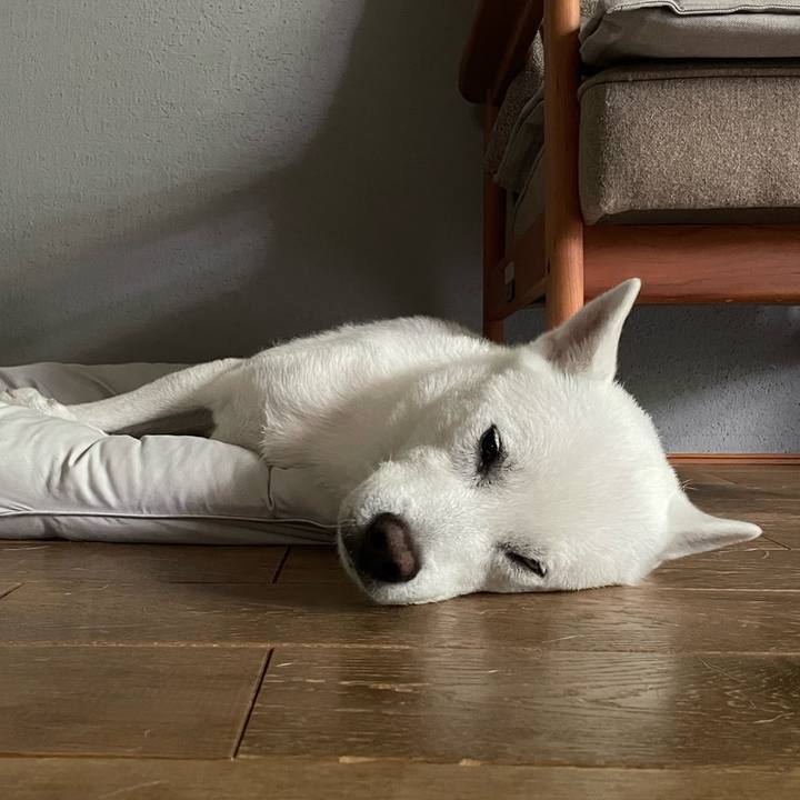 C7c28719 8daa 4807 891d 6baaff43f8a8 1649907162402