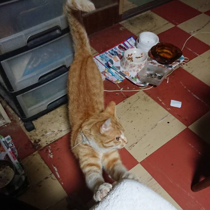 C7c28df3 a8cd 4016 9ed1 4cb9d1ff09d0 1592855918577