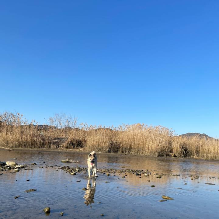 C7c29c39 0442 4a04 9eda 1ce534213e32 1675507304588