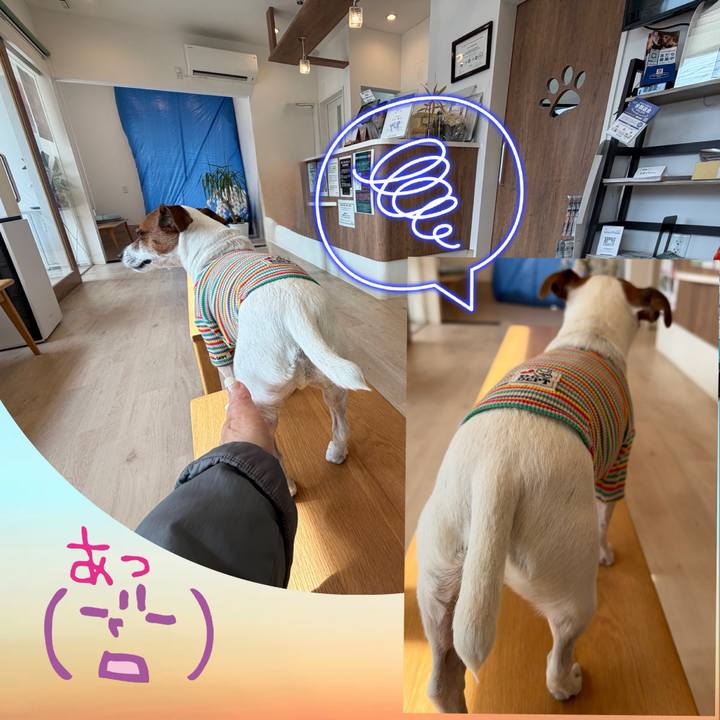 C7c29d37 e651 48a4 a403 29a78d8f1a5d 1773821320467