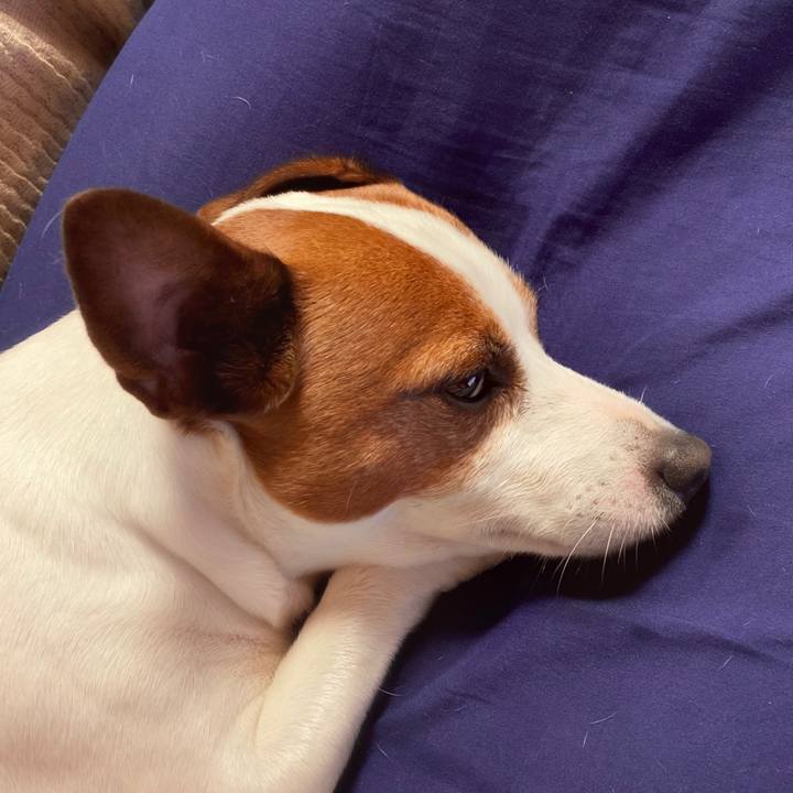 C7c2ab1c b7c1 47ae b1c4 d988a2584f06 1589975293176