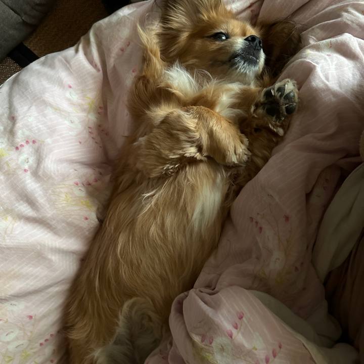 C7c2add6 ef30 42e6 bc73 5742aaab70e0 1708211663829