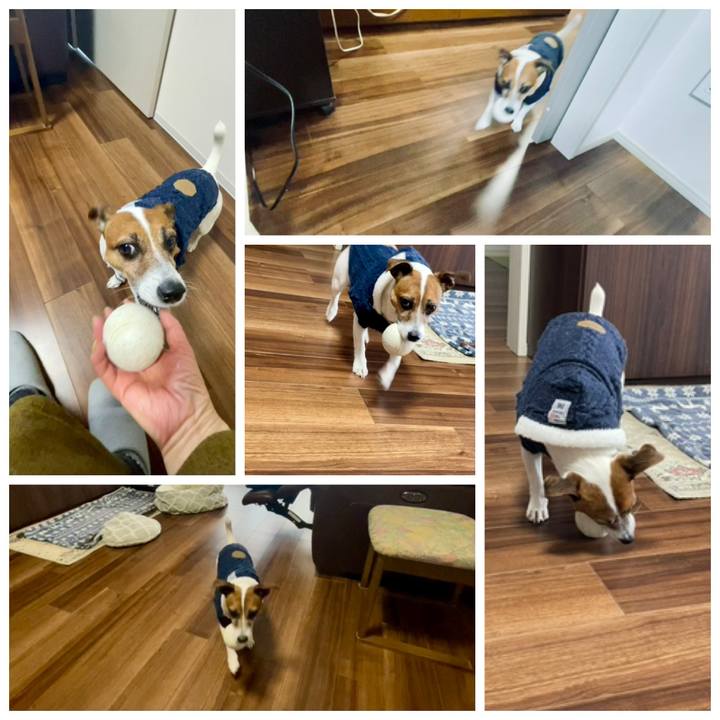 C7c2c970 1c88 4214 b19b 028e1350f009 1740485054255