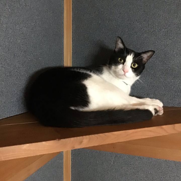 C7c2ccd9 fc55 4bdd 93cb 1a4e0be65d5b 1693053459161