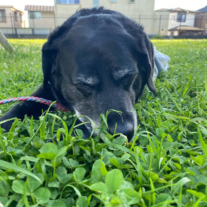 C7c2d070 ade4 4355 b524 6fd7eace5d4f 1620287446012