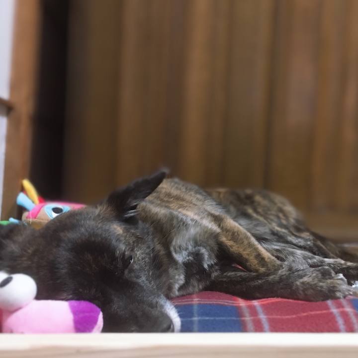 C7c2f9d4 8851 40c4 badd 3a7ab03006f0 1547466741305