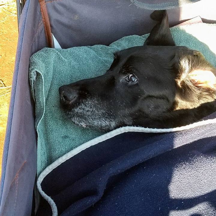 C7c30213 6024 4bd8 af9c af4992021719 1731997980503