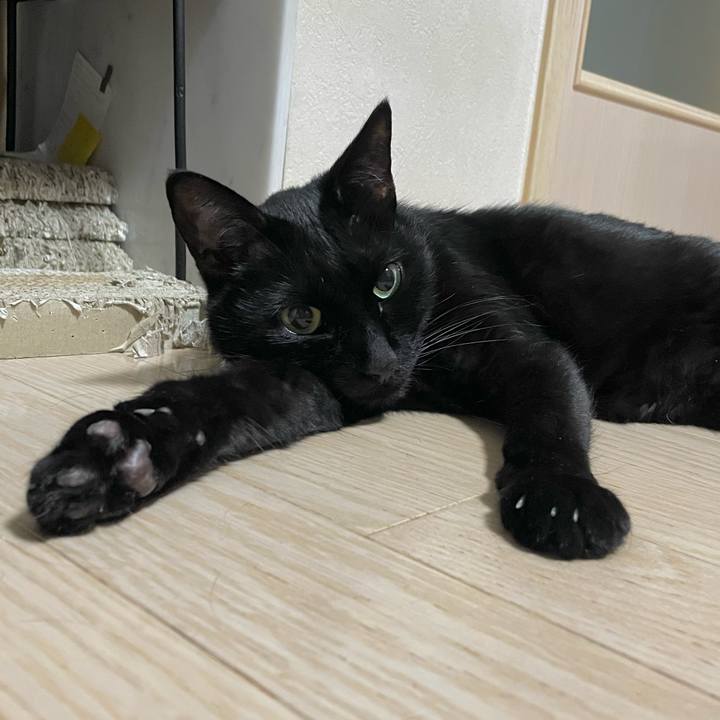 C7c31b7a 3d48 4f05 b03a 18a774c8f30a 1734438565479