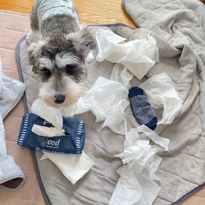 C7c32e8b ce80 4c3c 9702 43d807cb7ff2 1572847407010