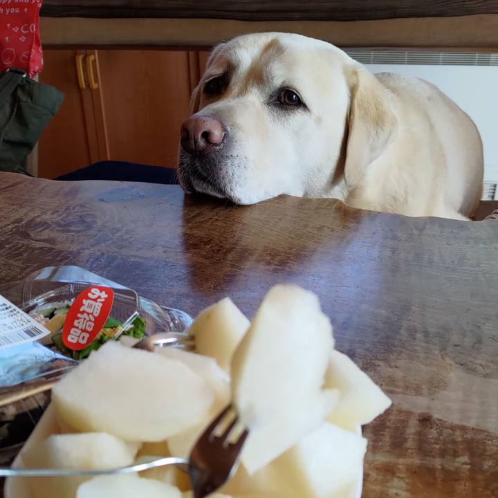 C7c3380f b7a8 41d9 a6d3 06b78d6c45c9 1696567676067