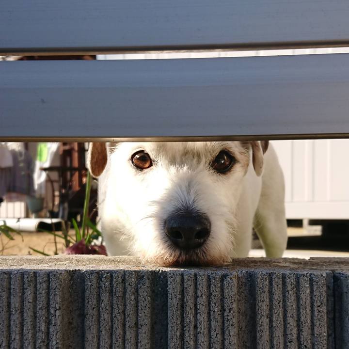 C7c355d7 2f31 45f2 8015 cea5b784fc4e 1581378130288