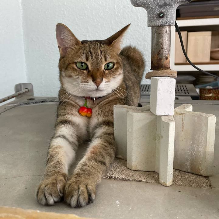 C7c38575 8ecc 4fdd 8227 3bd21bc4b677 1722468268003