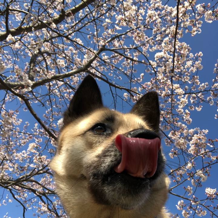 C7c39a3d c3fd 466d a2e1 bce75dd82c52 1554539004290