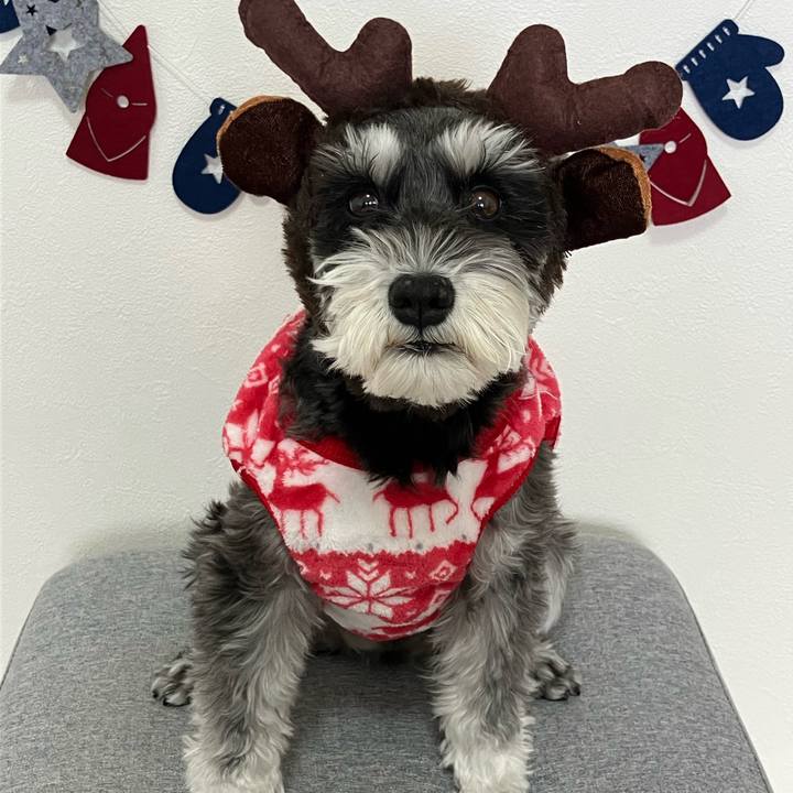 C7c3a033 2599 4cc0 95fc bdc25bf8995d 1765494252463