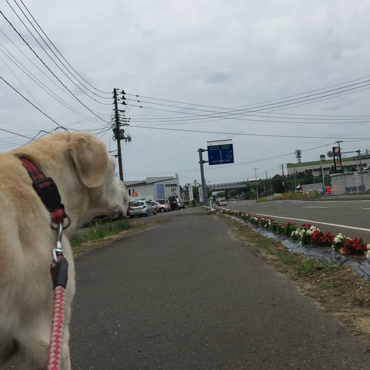 C7c3be44 807d 45c3 abce 47b0d0de6aa6 1528249188585