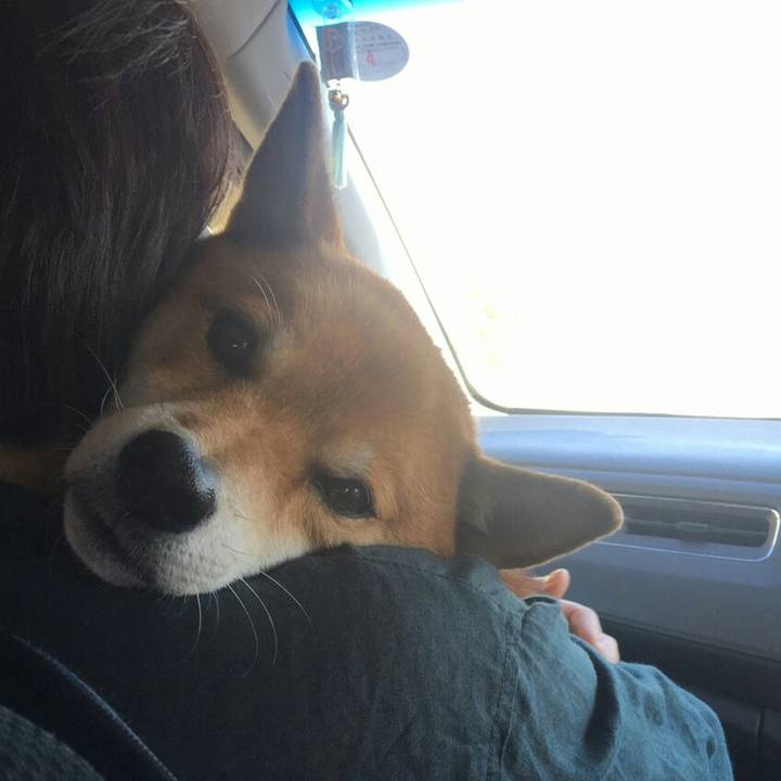 C7c42802 952b 4f52 bdf9 c1ae1b1380bf 1573304711494