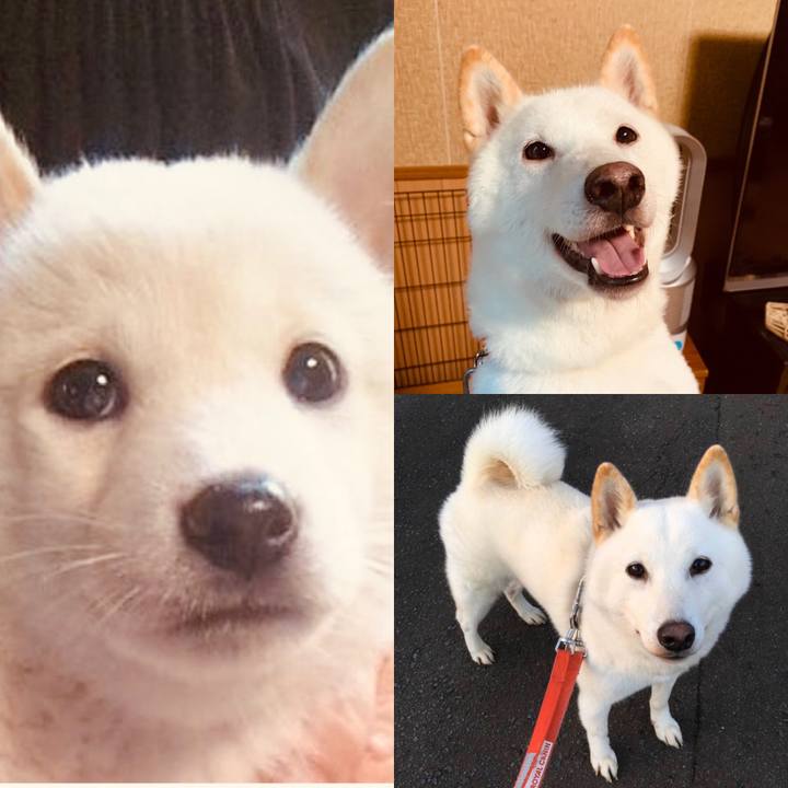 C7c49428 225b 4e5a 884b 90b67cddcded 1594240785681