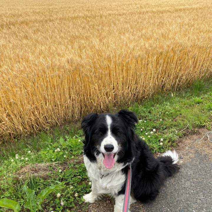 C7c497db ba02 45e2 85f7 37ea1f341419 1653271136611