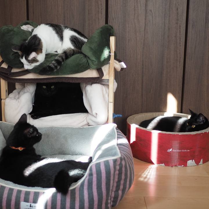 C7c4b5fd 5084 4c91 a66f 96fddc8098ea 1541826149742