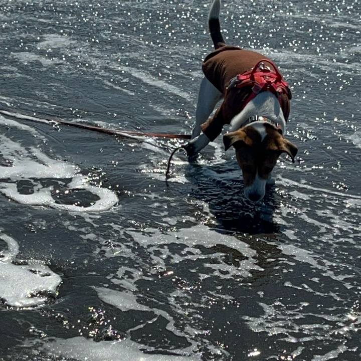 C7c4b934 8fed 4360 a233 07eac07d8465 1740302957785