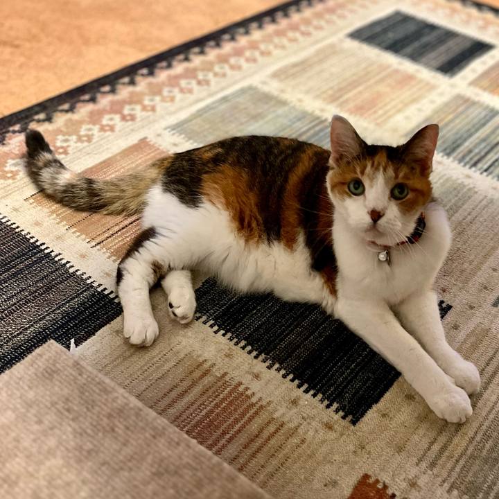 C7c4c864 dff5 4ebd b512 86b9b58e796a 1684411866217