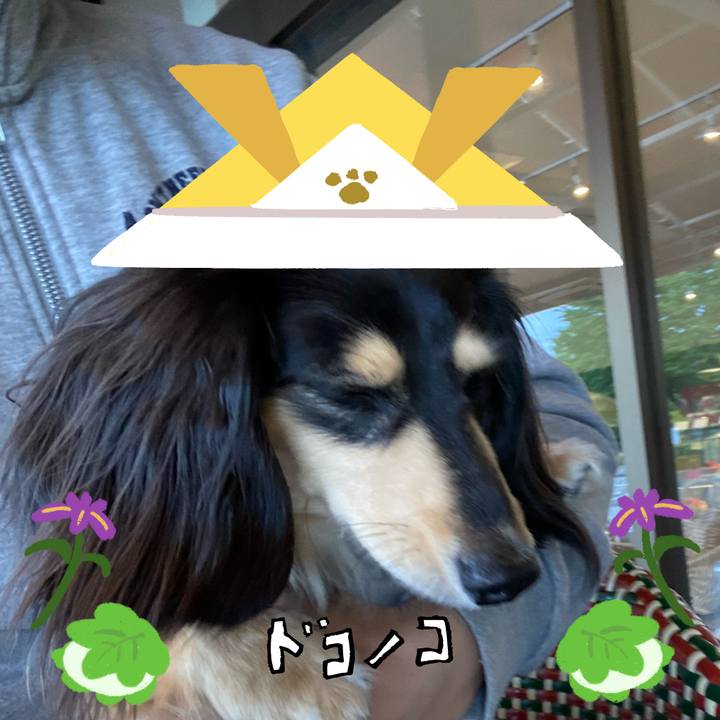 C7c4c9cb 3887 49a4 9f9f df37dc071507 1714952189525