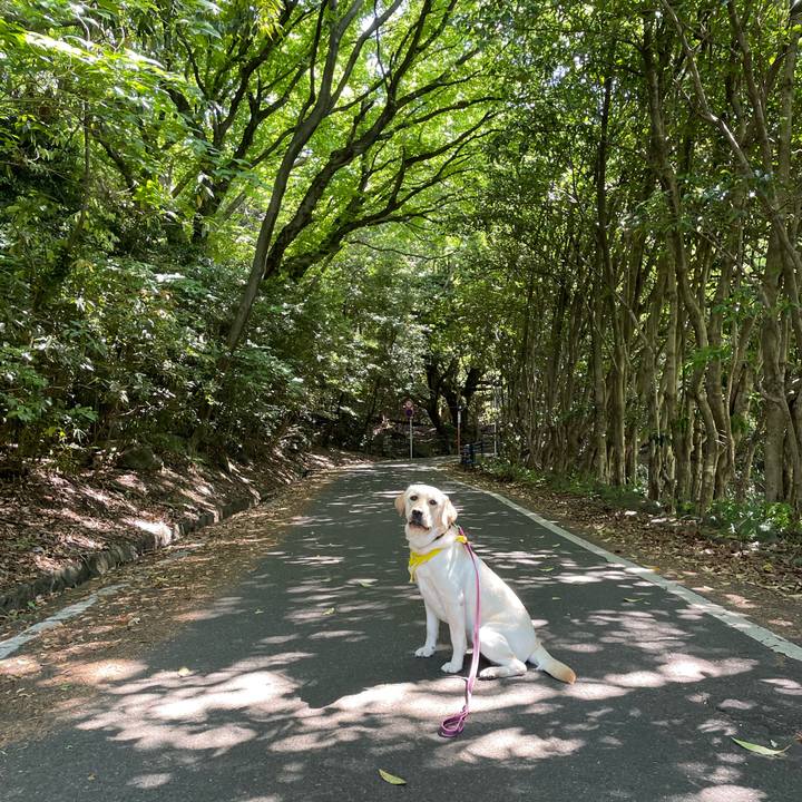 C7c4da81 5a1b 48fc 99b9 fec86002f307 1653121124404