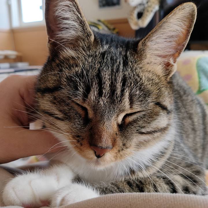 C7c51dfe 742e 4109 a40e 4ad7491f4226 1679981488324