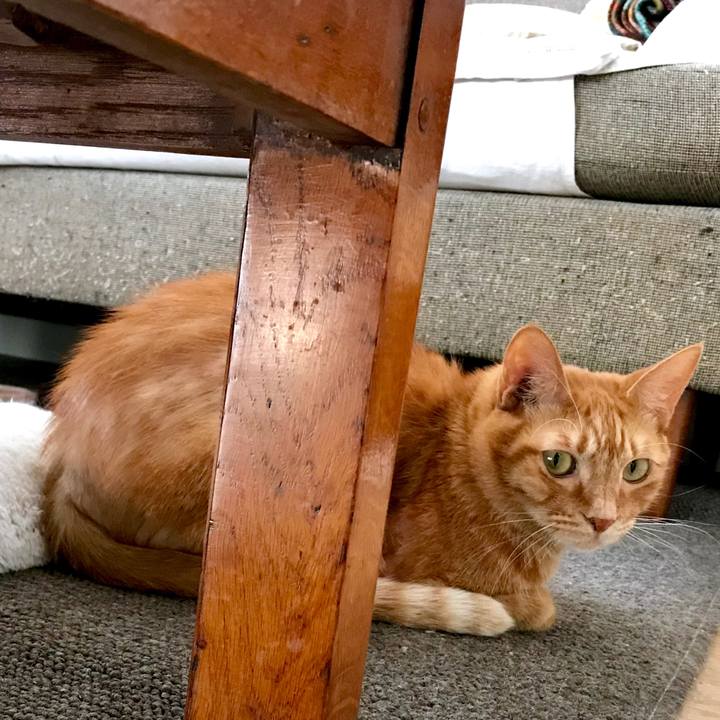 C7c57fd1 f9ba 43c2 84c8 859cc97a6755 1547181901726