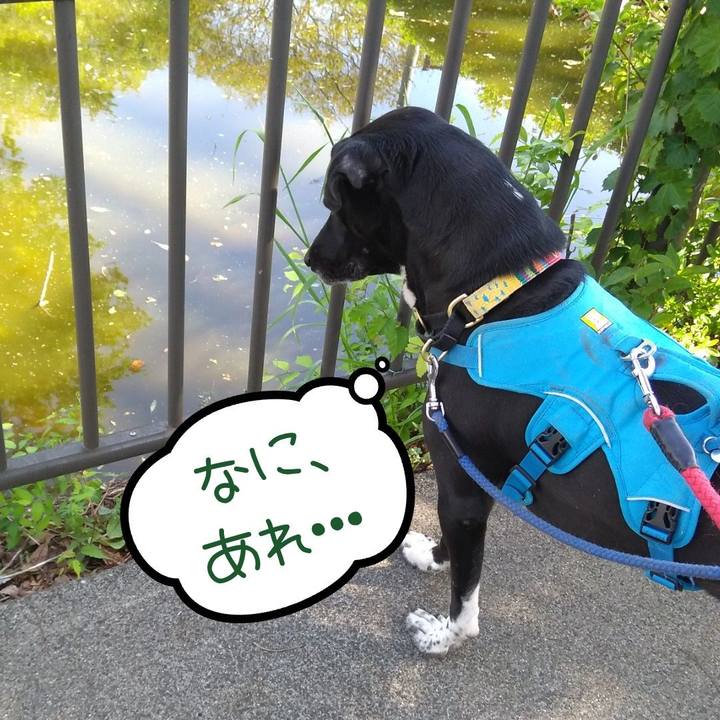 C7c5c3c4 ebcd 43eb 880c 7f0814c23c5d 1619484402014