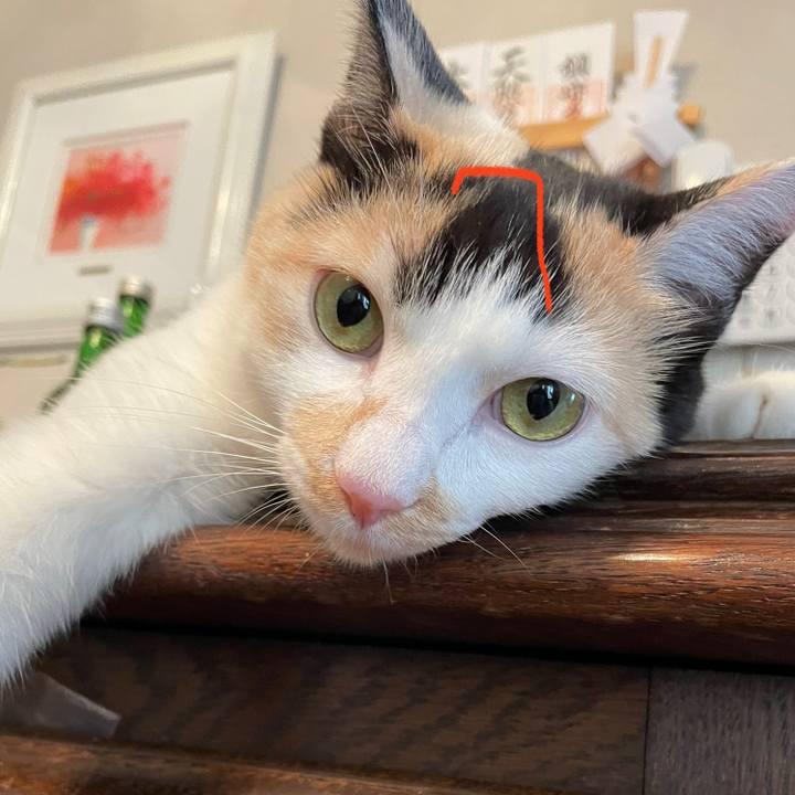 C7c5e1ca c9a7 499c 93b6 2e0d3aa67c9f 1688015020526