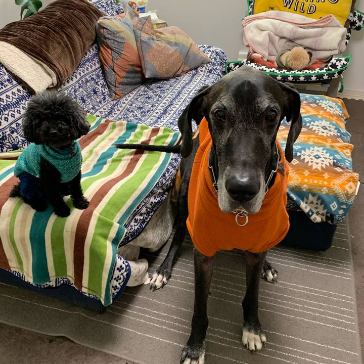 C7c5f29e f108 4e79 b15c 25493f026977 1578954651107