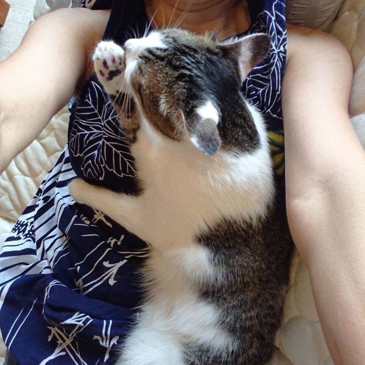 C7c6110e 8378 4172 8ea1 7d790ee05d2e 1595036571657